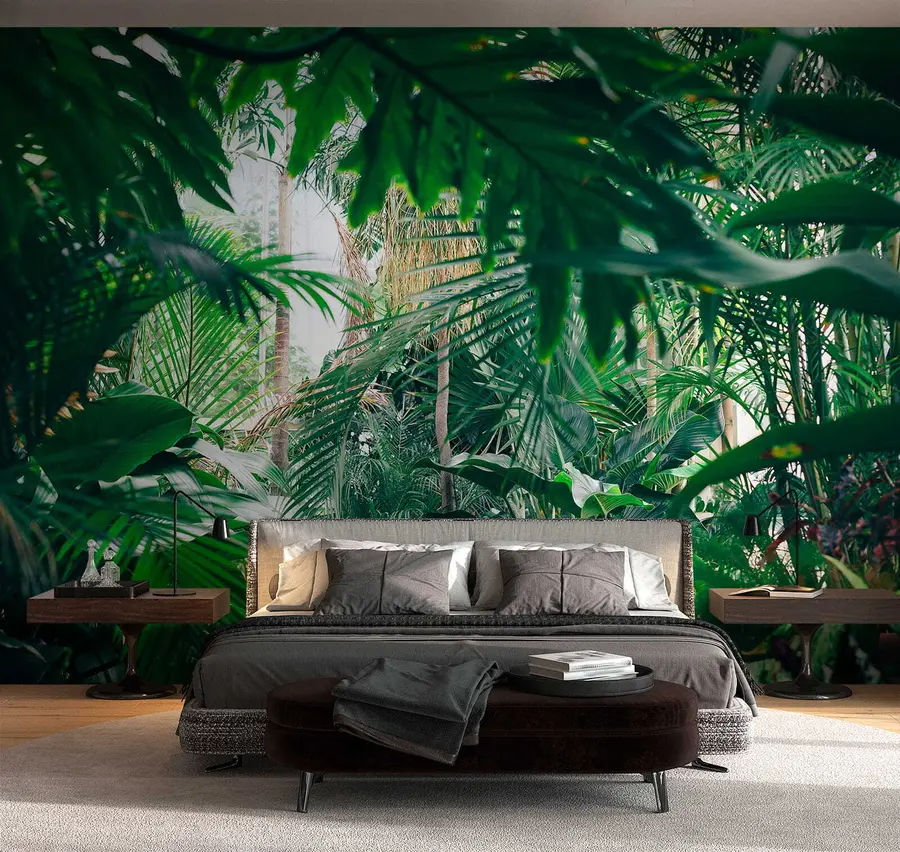 fototapeter Dense jungle u05361