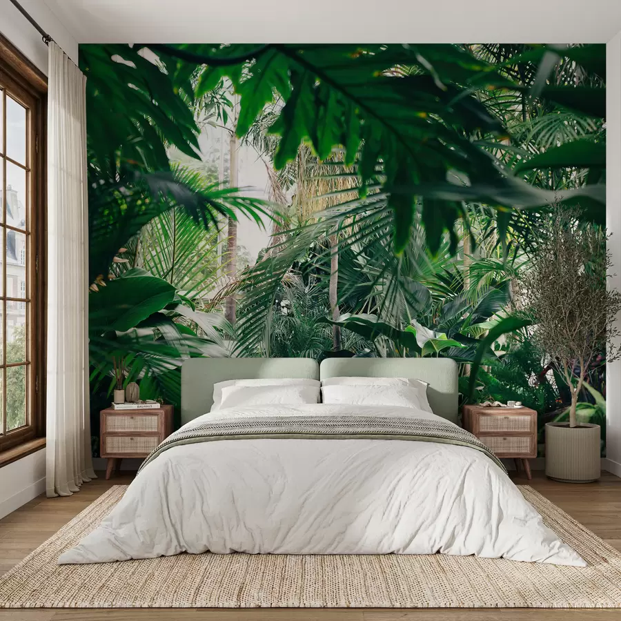fototapeter Dense jungle u05361