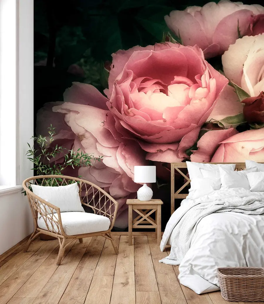 fototapeter Delikate rosa pioner u08062