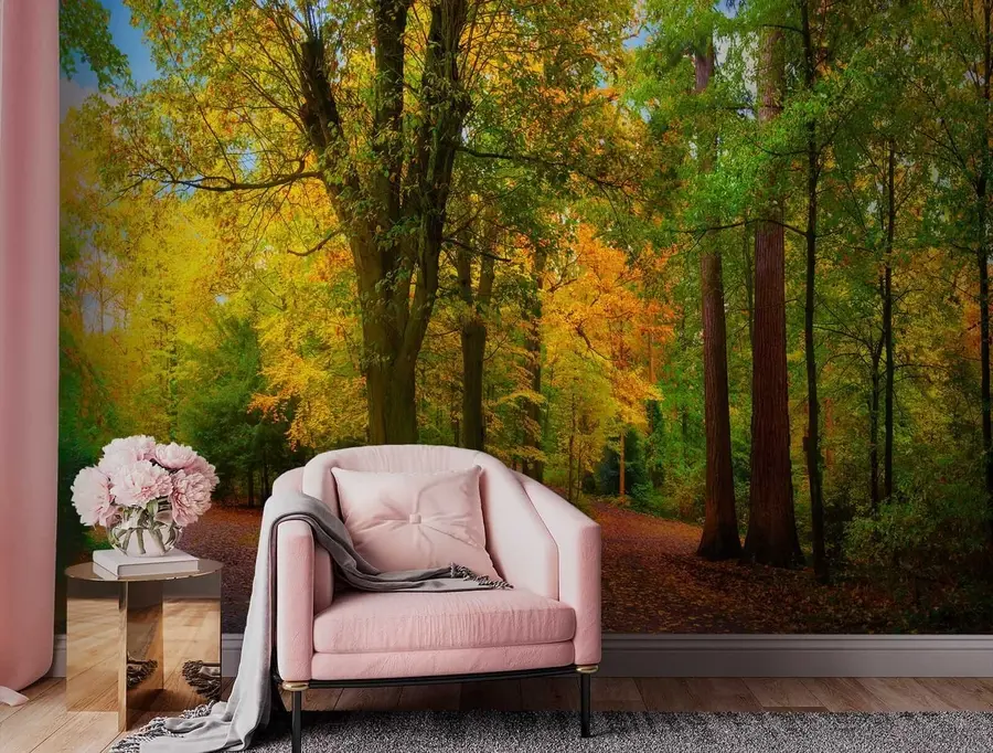 fototapeter Begynnelsen på høsten u08547