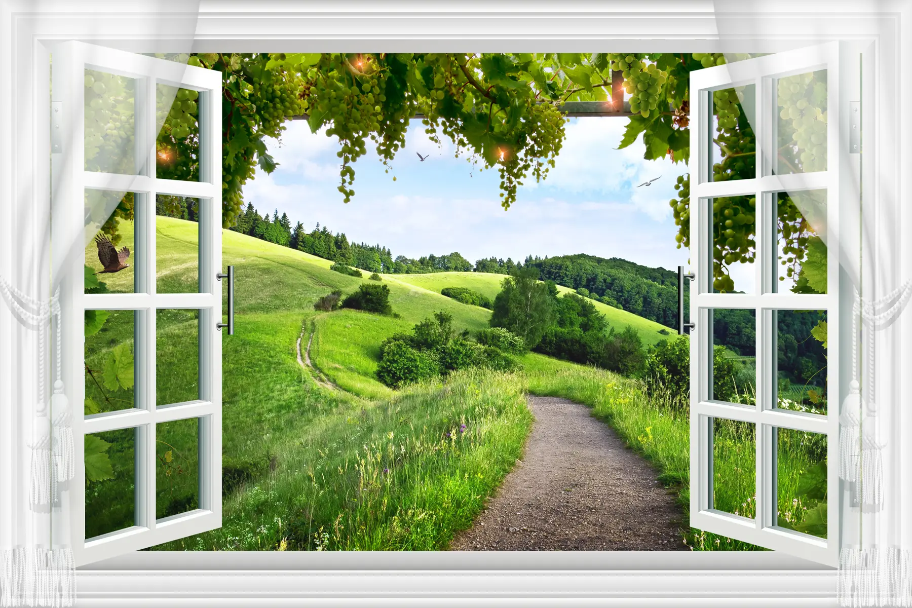 fototapeter Utsikt fra vinduet mot lysningen u28196