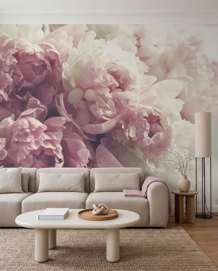 fototapeter Blomst, kronblad og rosa u44746
