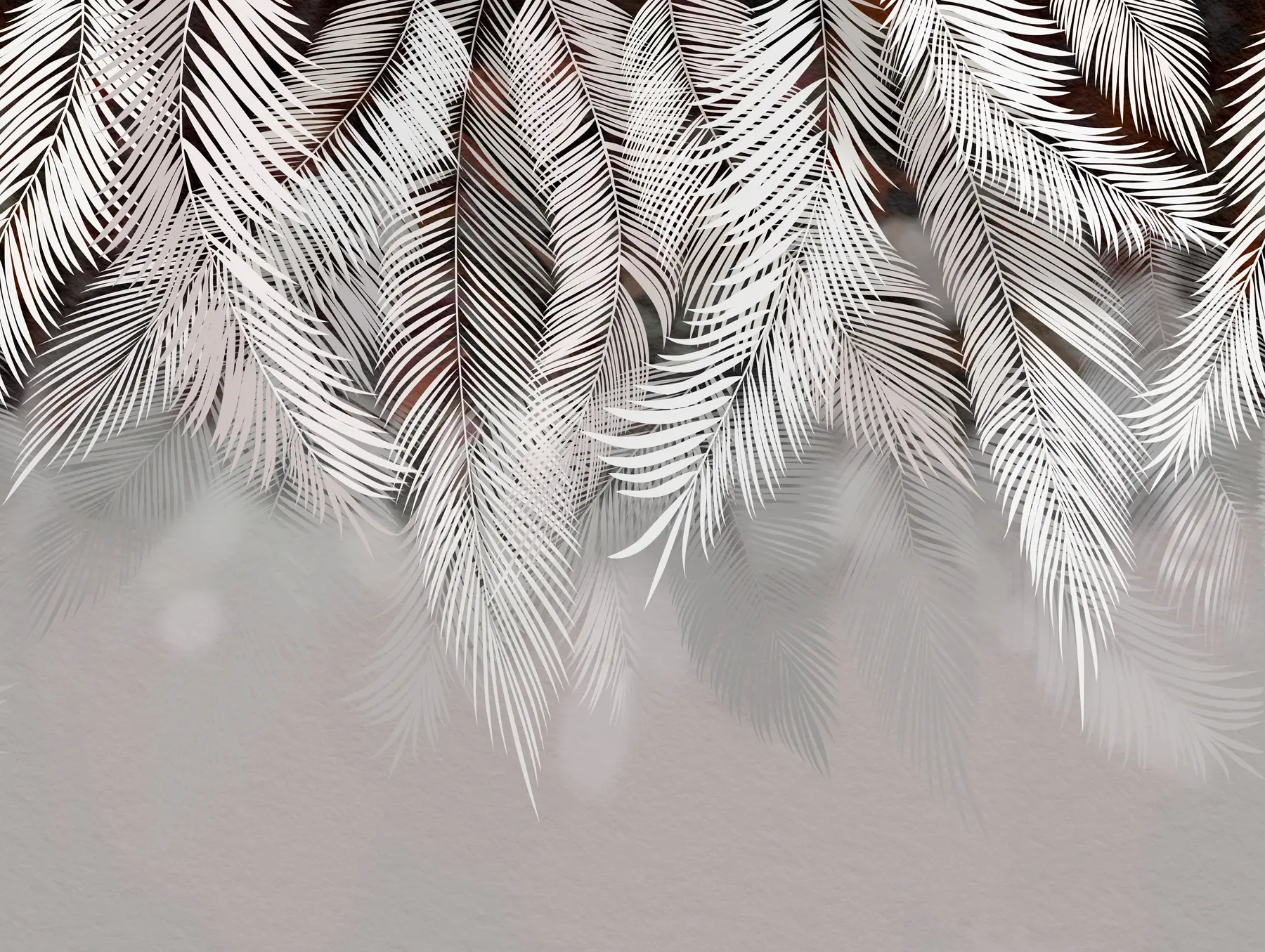 fototapeter Mørke palmeblader u48556v4