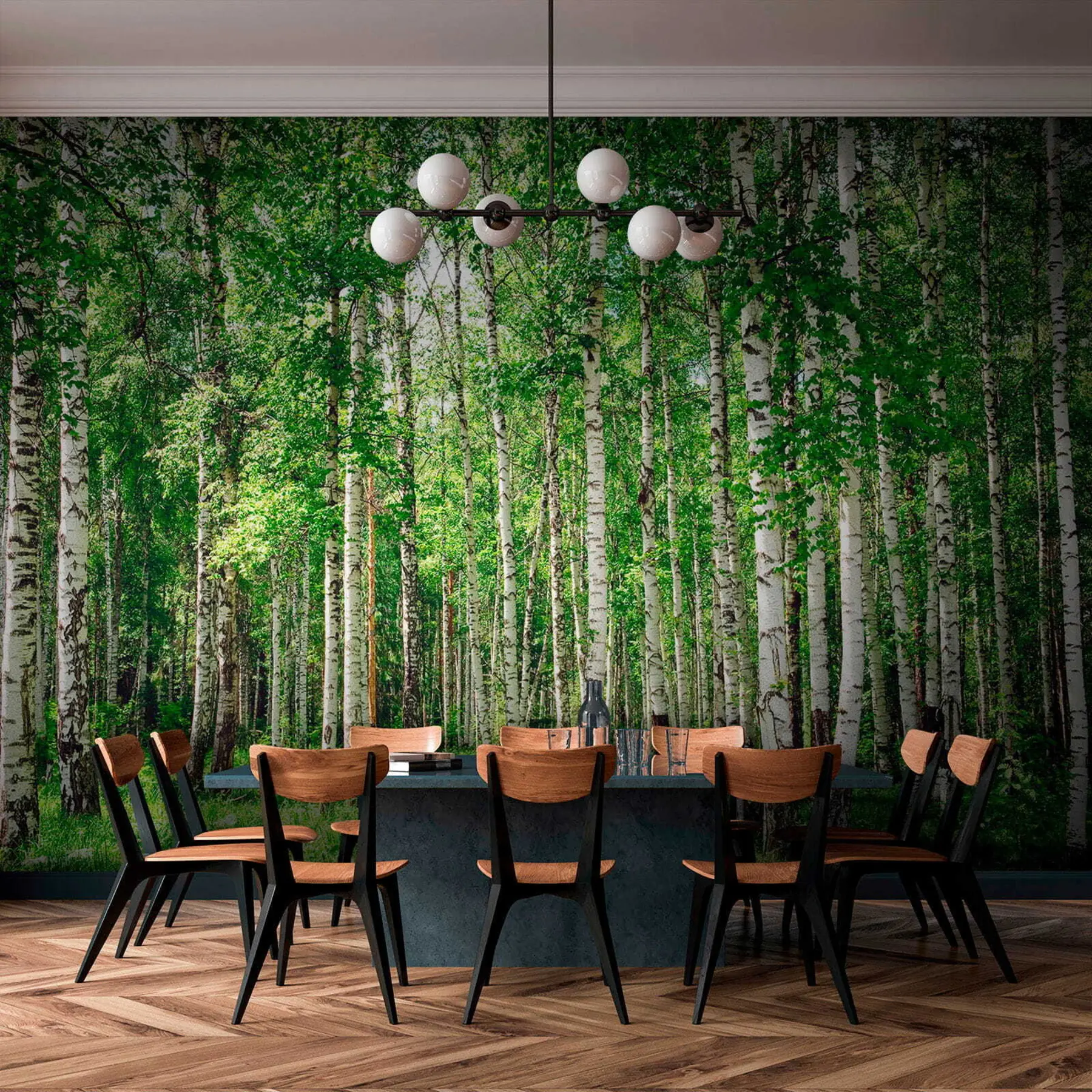fototapeter Bjørkeskog u52530
