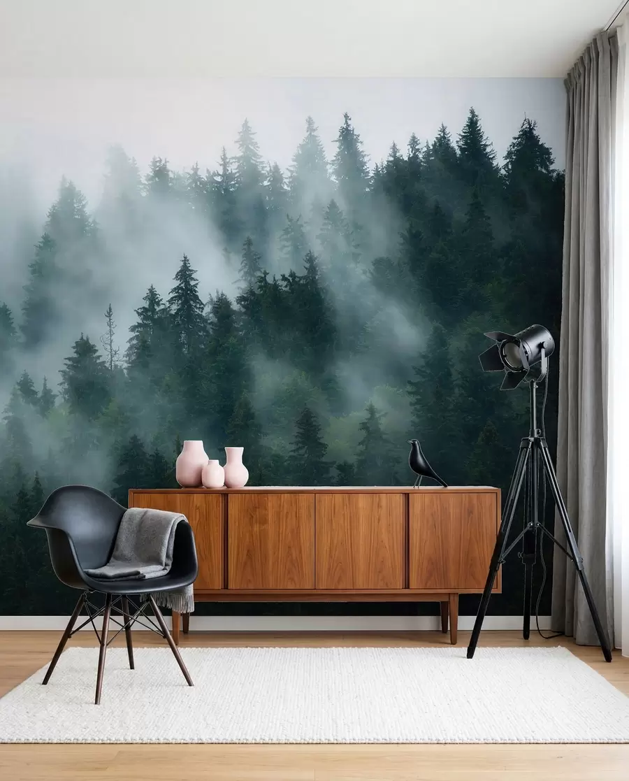 fototapeter Tåkete skog u57914