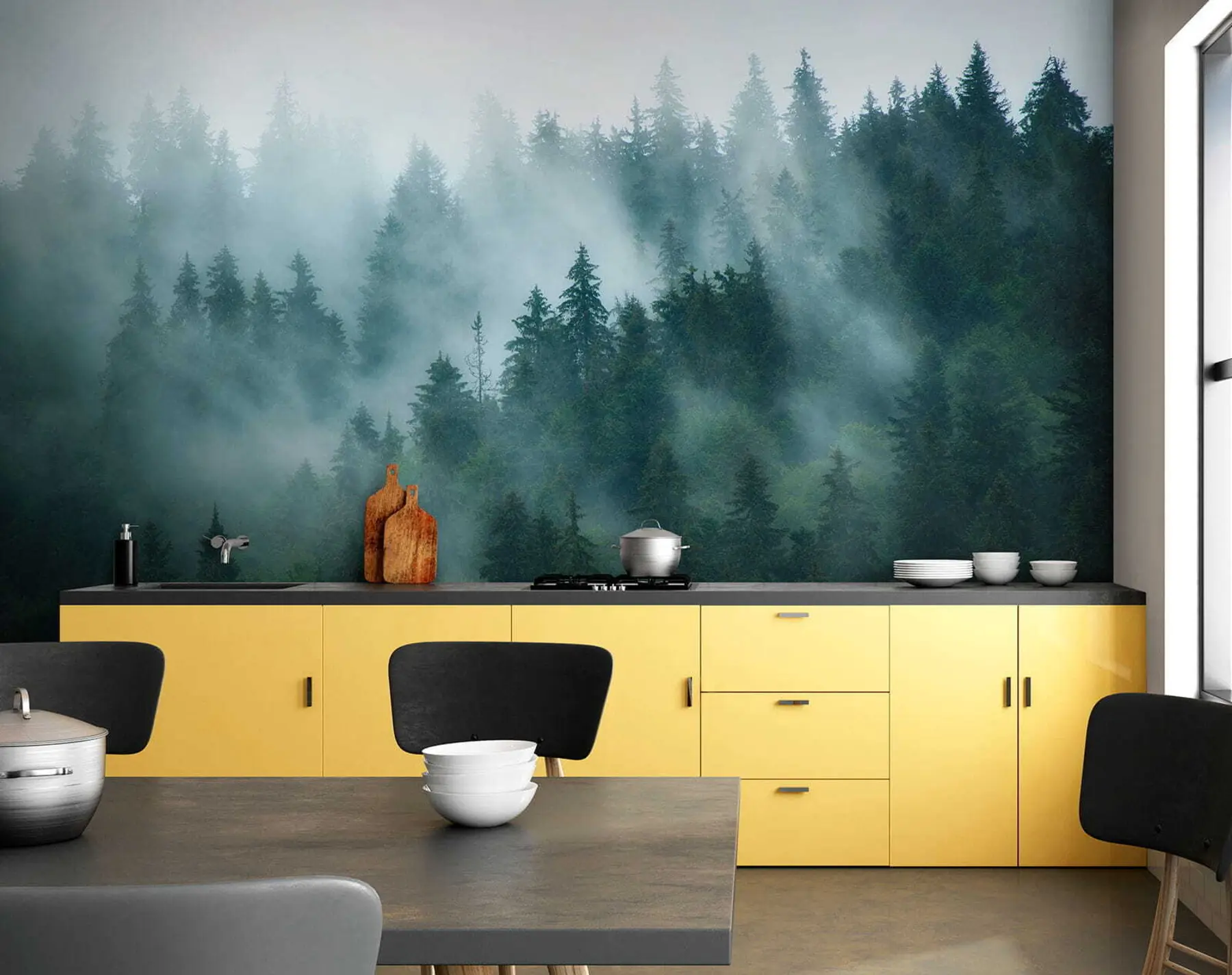 fototapeter Tåkete skog u57914