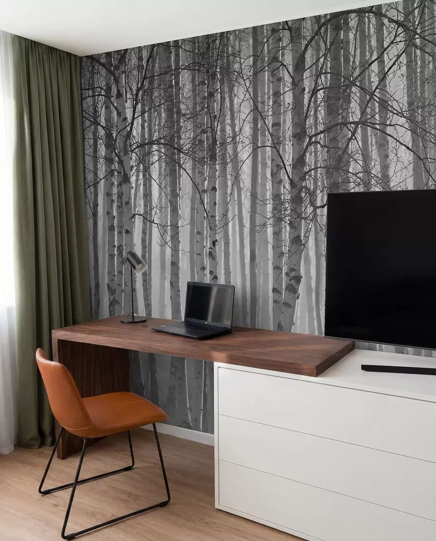 fototapeter Morgentåke i bjørkeskogen u58971