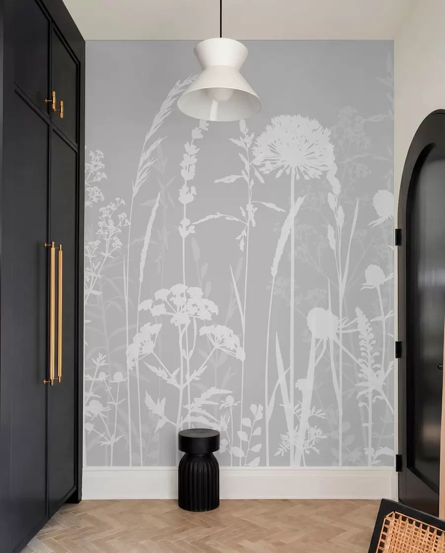fototapeter Milde feltplanter og blomster minimalisme grå farge w01270v1