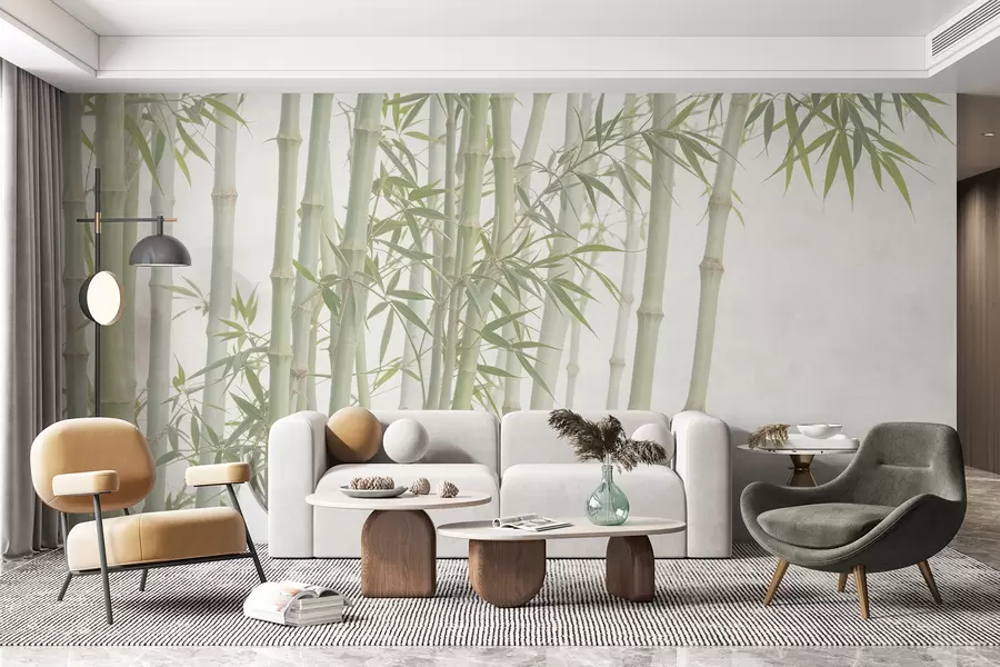 fototapeter En tett bambusskog med høye bambusstilker og grønne blader mot en myk, disig bakgrunn w08237