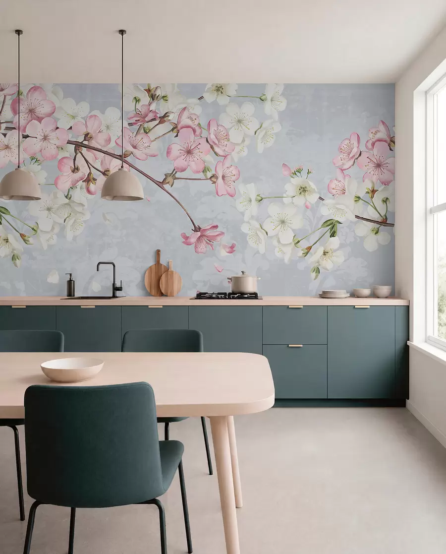 fototapeter Rosa og hvite kirsebærblomster i full blomst, med myke kronblader som faller mot en blå bakgrunn med struktur w08254