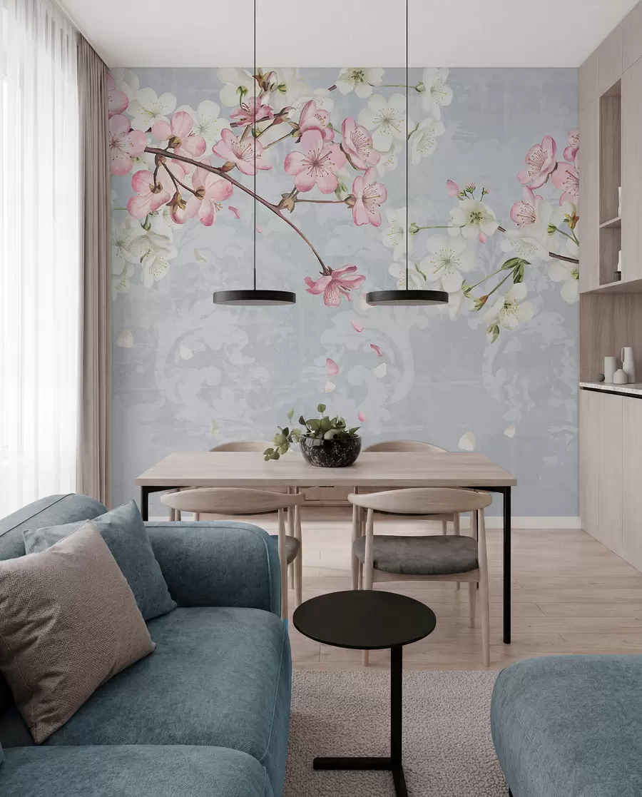 fototapeter Rosa og hvite kirsebærblomster i full blomst, med myke kronblader som faller mot en blå bakgrunn med struktur w08254