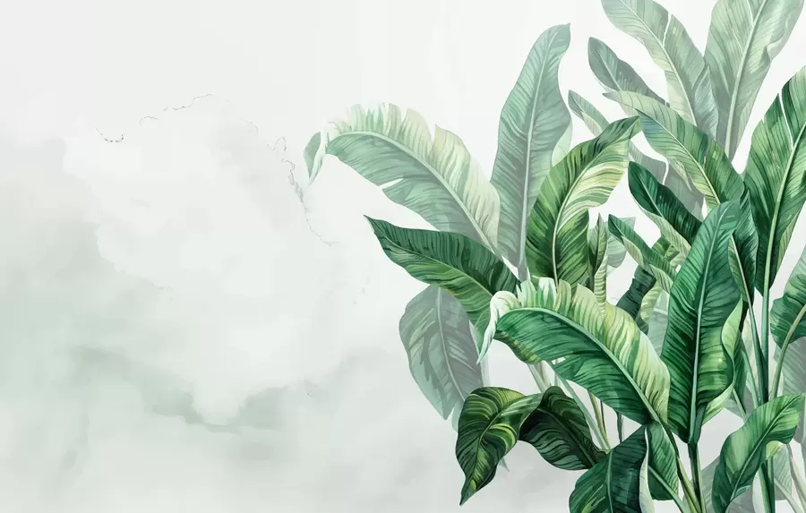 fototapeter bananblader, store blader, grønne blader, tropiske blader w01630