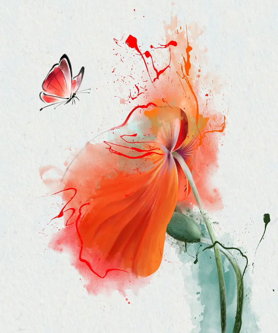 fototapeter Valmue og sommerfugl u34147