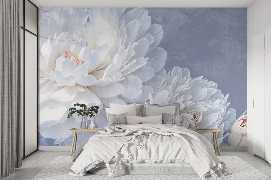 fototapeter Hvite, detaljerte pionblomster med myke, delikate kronblader mot en lys pastellblå teksturert bakgrunn w08379