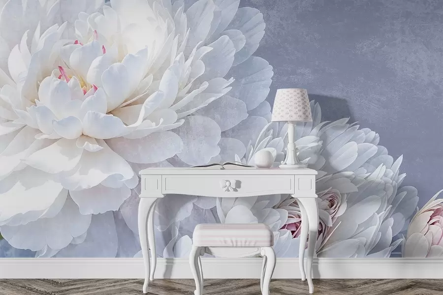 fototapeter Hvite, detaljerte pionblomster med myke, delikate kronblader mot en lys pastellblå teksturert bakgrunn w08379