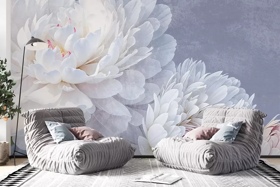 fototapeter Hvite, detaljerte pionblomster med myke, delikate kronblader mot en lys pastellblå teksturert bakgrunn w08379