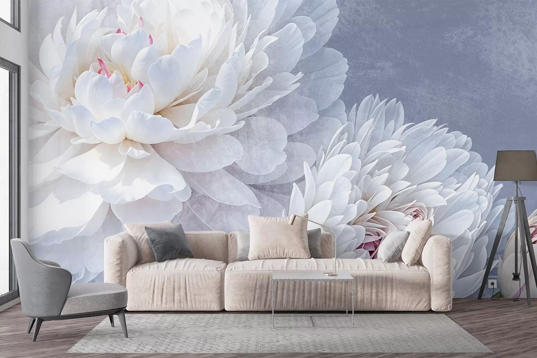 fototapeter Hvite, detaljerte pionblomster med myke, delikate kronblader mot en lys pastellblå teksturert bakgrunn w08379