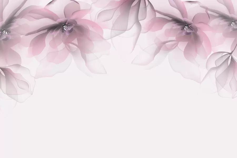 fototapeter rosa gjennomskinnelige store blomster på toppen w02093