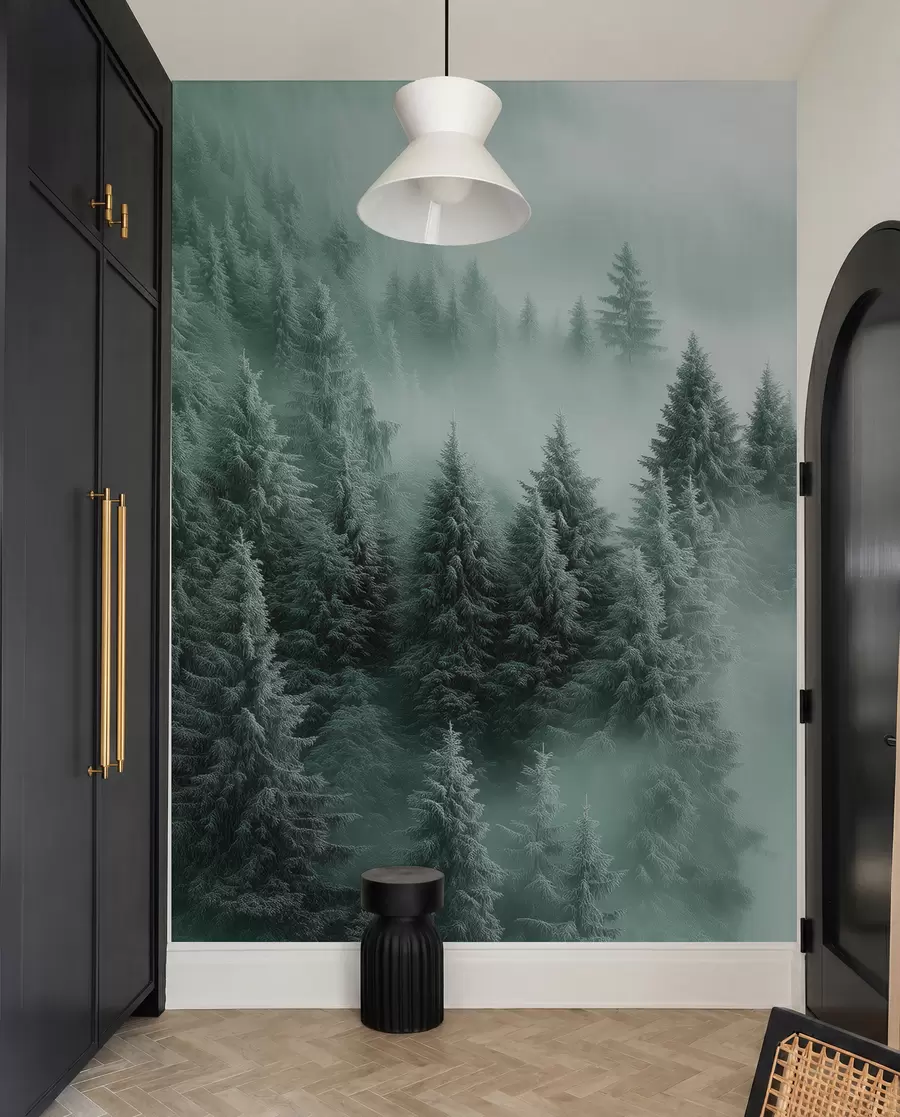 fototapeter Tykk tåke omslutter en snøkledd morgenskog i grønne nyanser w02064v1
