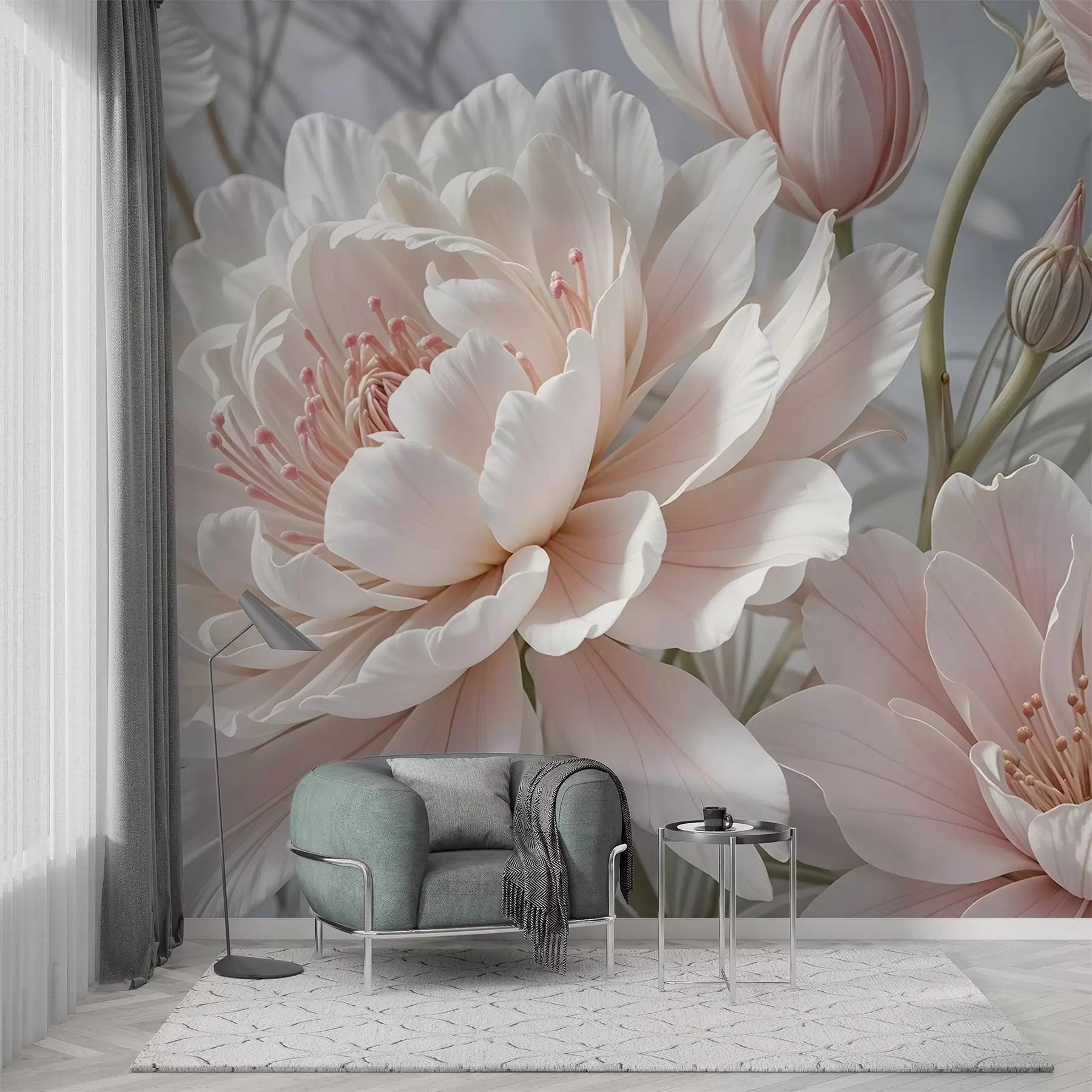 fototapeter Store, delikate hvite og rosa pionblomster med myke, luftige kronblader mot en uskarp grå bakgrunn w08427
