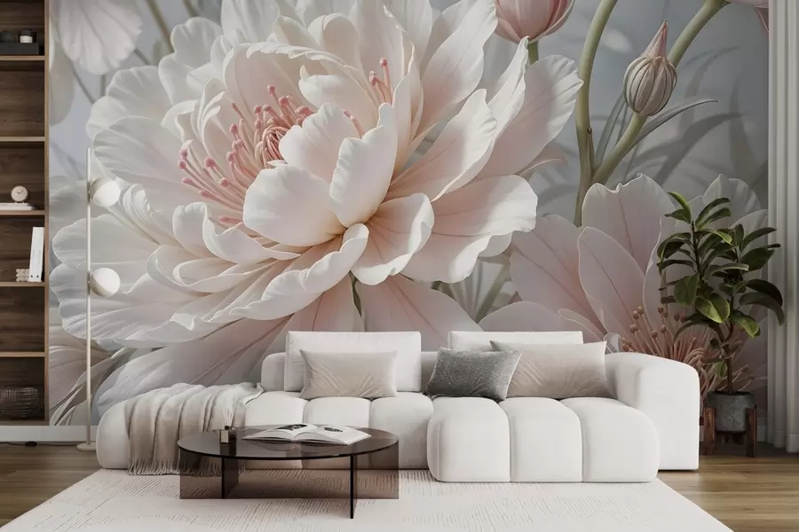 fototapeter Store, delikate hvite og rosa pionblomster med myke, luftige kronblader mot en uskarp grå bakgrunn w08427