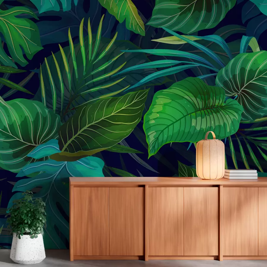 fototapeter Sukkulente tropiske blader u51864