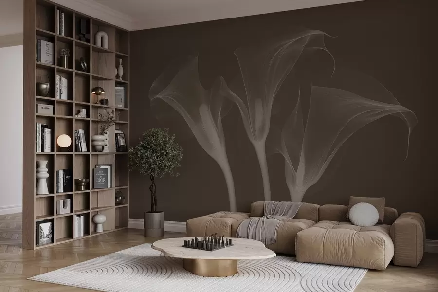 fototapeter luftige, gjennomsiktige Zantedeschia-blomster på mørk bakgrunn w02632v1