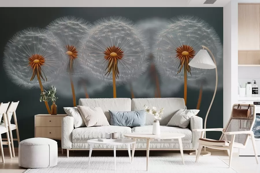 fototapeter Luftige løvetannblomster mot en mørk naturbakgrunn w08498