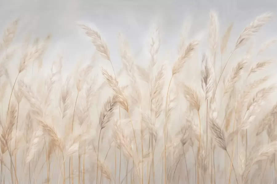 fototapeter Spikelets mot den blå himmelen w03530