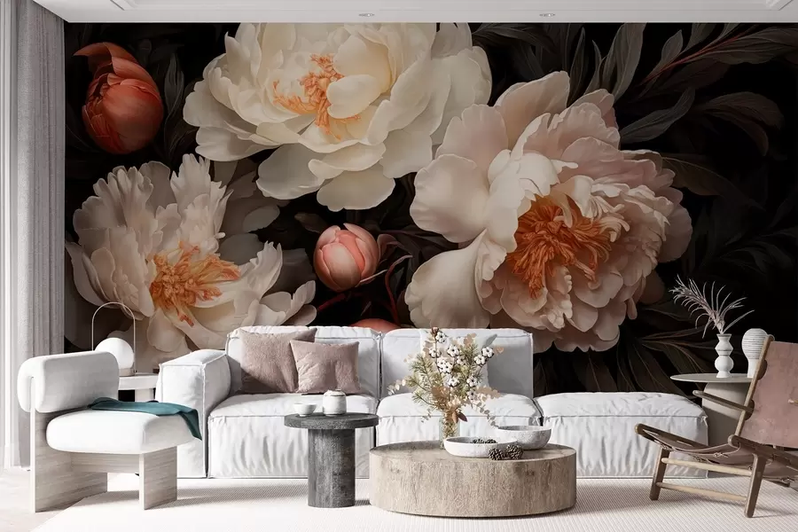 fototapeter Hvite, store peoner med røde knopper på mørk bakgrunn w08965