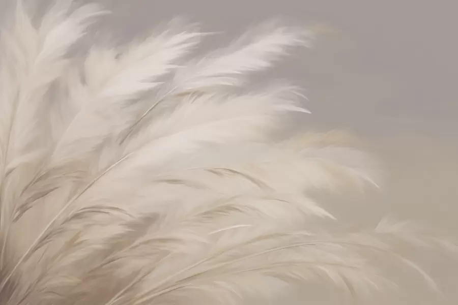 fototapeter Mykt, luftig gress i beige og grått w03992