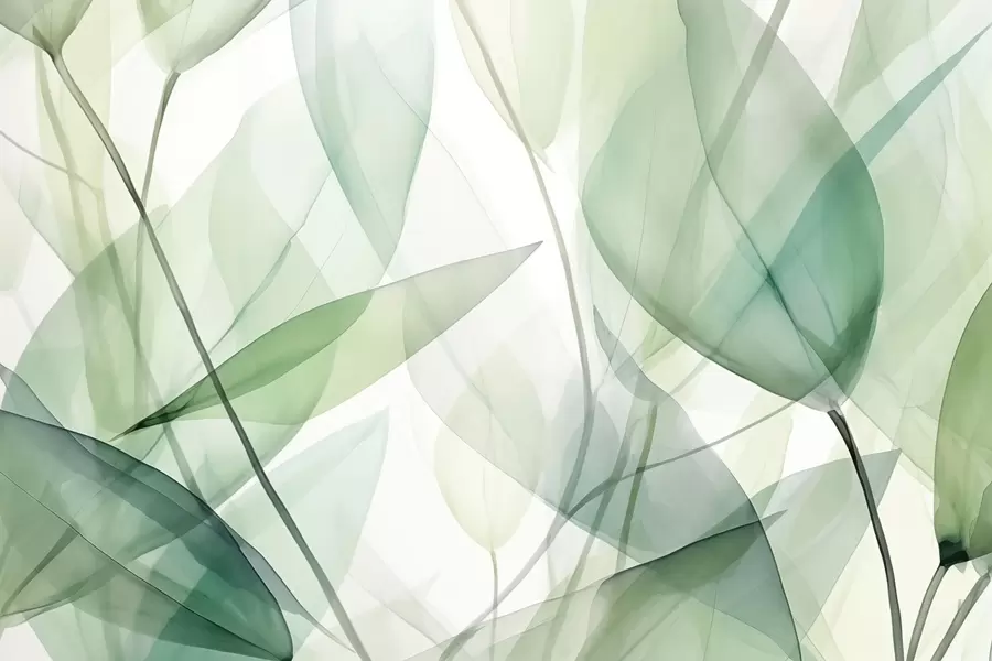 fototapeter Gjennomsiktige årer på bladene w04145