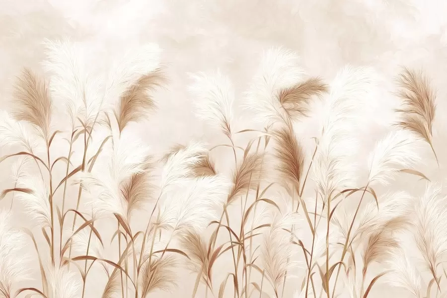 fototapeter Elegant pampasgress blomstrer i myke beige og melkeaktige toner w09150v1