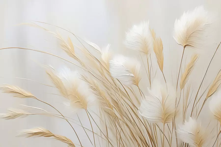 fototapeter Pampas spikelets imitasjonsmaleri w04266