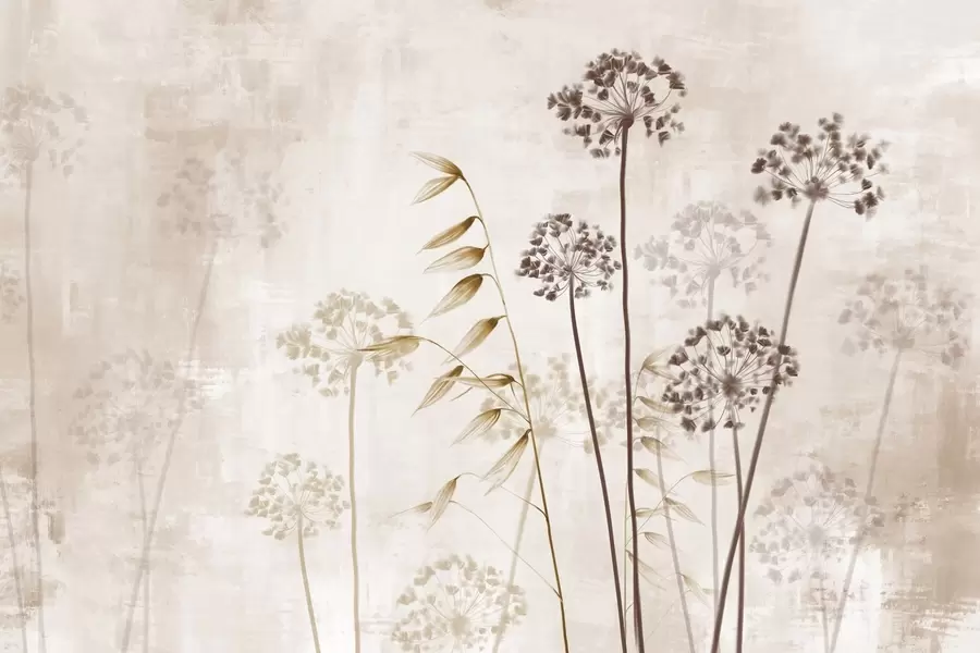 fototapeter Tegning av tørkede blomster med lange stilker, monokrom palett, mot en strukturert, lys beige bakgrunn, botanisk illustrasjon w09314v1