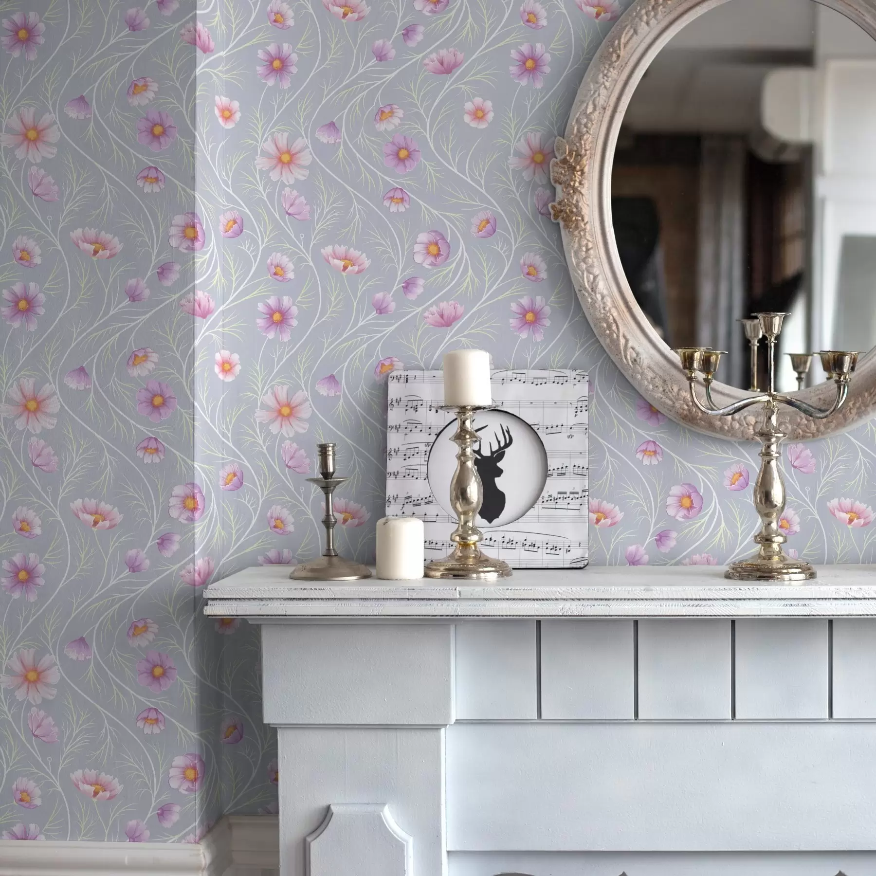 fototapeter Rosa kosmos og slanke stilker på grå bakgrunn a00791