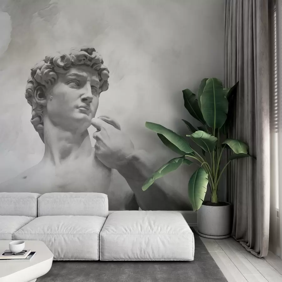 fototapeter Renessansens ånd w04767