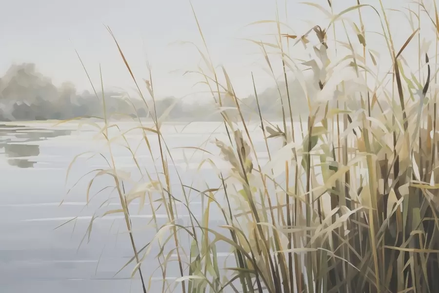 fototapeter Reeds w04494