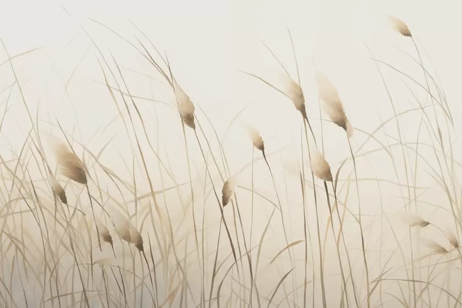 fototapeter Pampas w04526