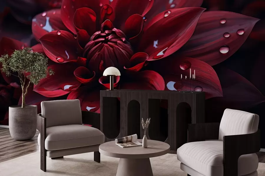 fototapeter Saftig krysantemum w05057