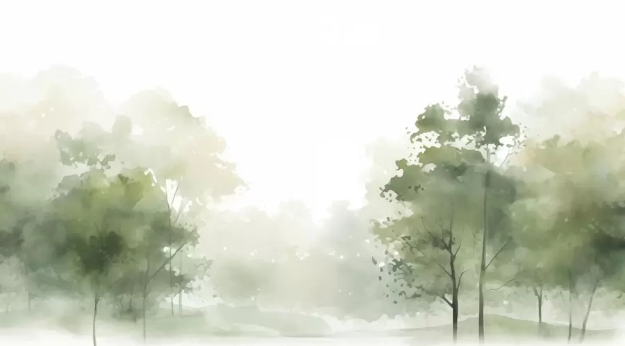 fototapeter Trær, landskap w05081