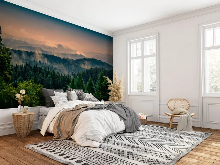 fototapeter Trær av trær i tåken u72174