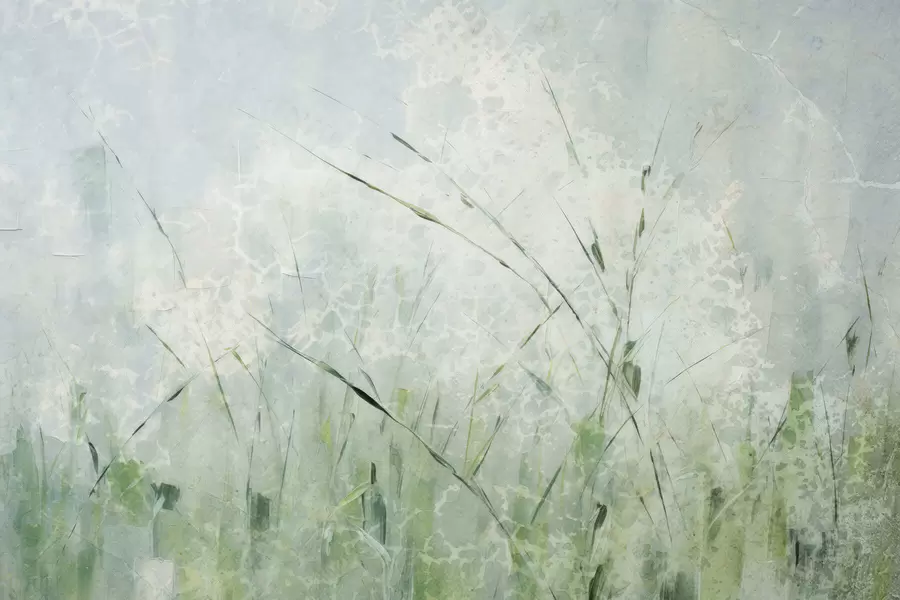 fototapeter Gressets letthet w05176