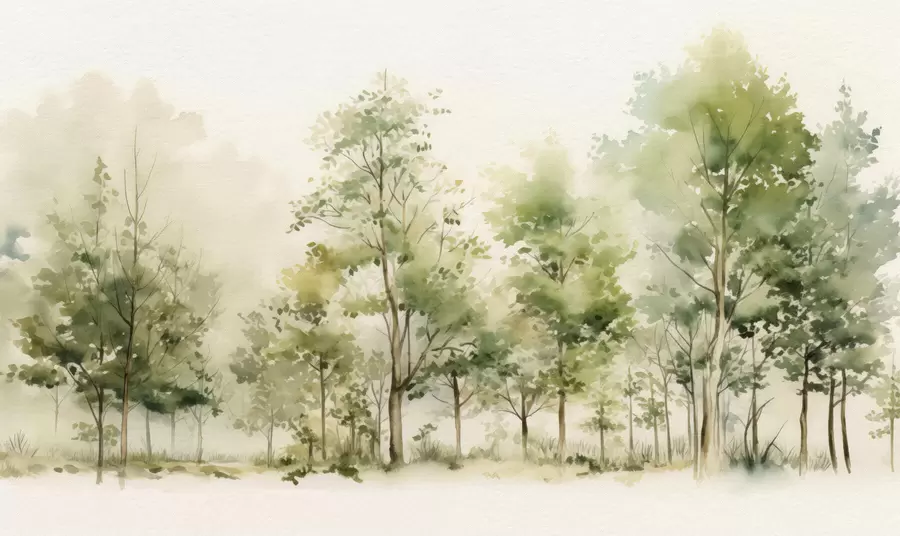 fototapeter Akvarell løvskog w05180