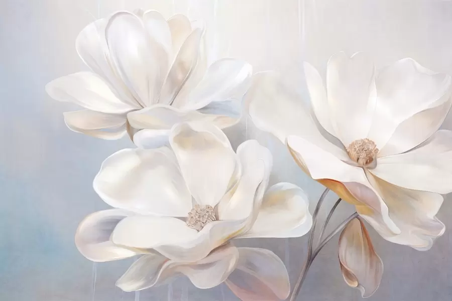 fototapeter Hvite fantasifulle magnoliablomster med delikate, strukturerte kronblader og en myk, abstrakt bakgrunn. w09373