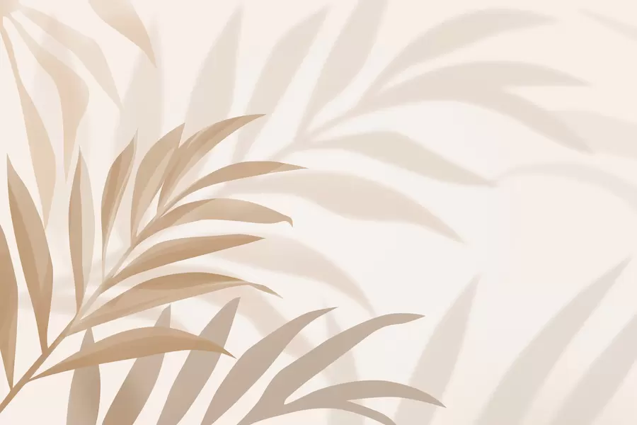 fototapeter store buede palmeblader i beige og brune nyanser w05211