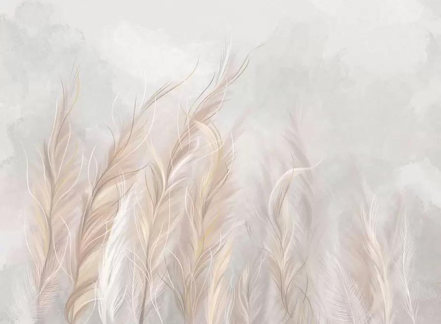 fototapeter Myke abstrakte fjær i lyse, nøytrale farger w05153