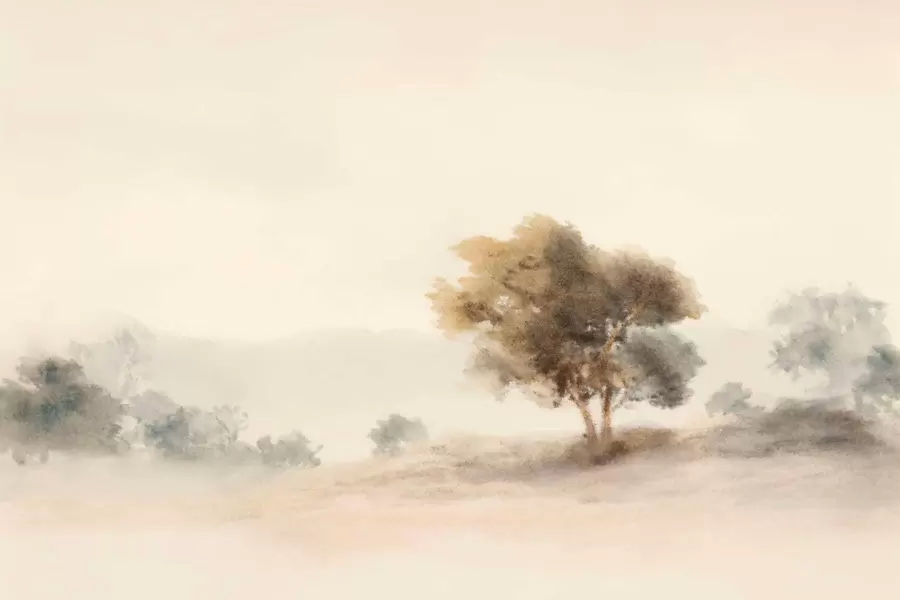fototapeter Minimalistisk landskap med et ensomt tre i tåke w05223
