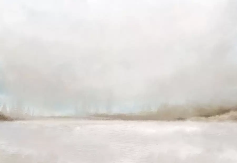 fototapeter Tåkete landskap med innsjø og skog w05319