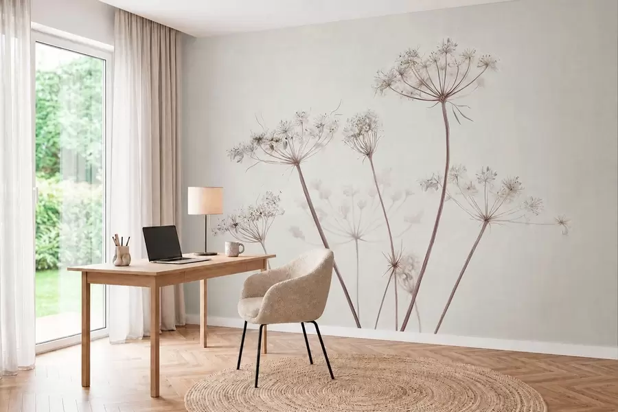 fototapeter Tørkede blomsterstander mot en lys, minimalistisk bakgrunn w05543